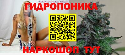 героин Будённовск