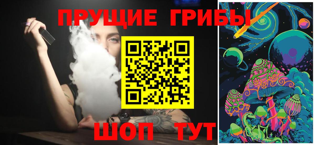 Псилоцибиновые грибы Cubensis Переславль-Залесский